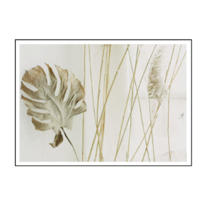 Desert Bloom Stillness Canvas Painting Art O Hub
